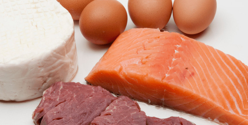 میگی کی خوراک کی بنیاد پروٹین والی غذائیں ہیں۔